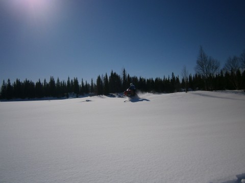 Hopp i orörd snö