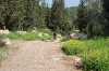 dsc_0181_resize.jpg